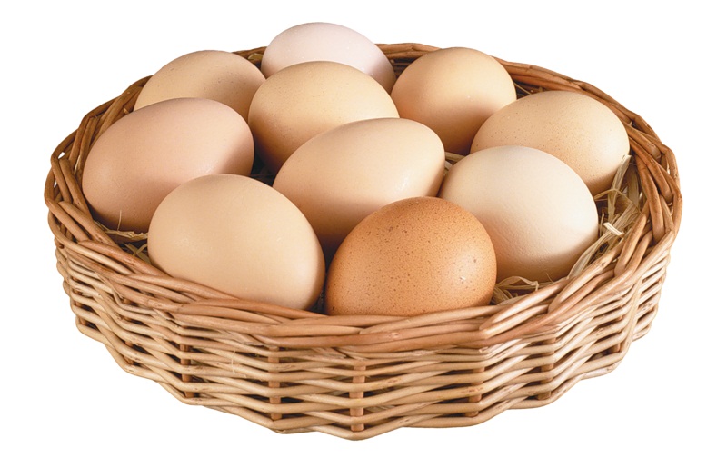 Качественное хранение яиц