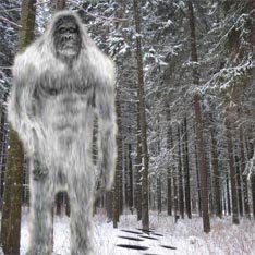 Кемерово: Снежный человек существует?