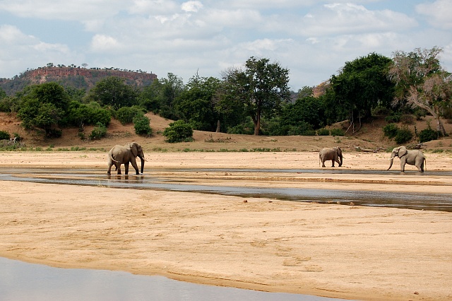 Национальный парк Зимбабве - Гонарежу