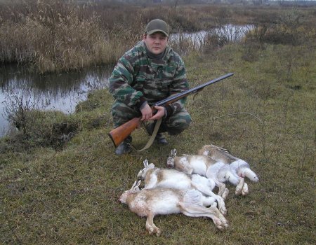Охота на зайцев
