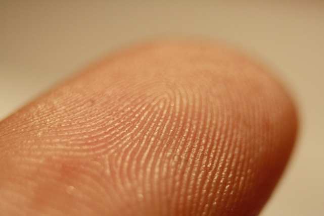 Почему человеческие отпечатки пальцев уникальны?