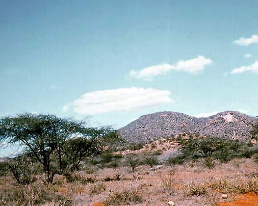 Природа Сомали