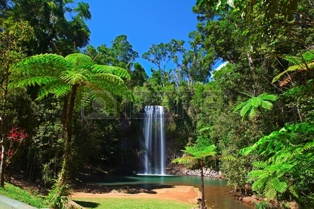Тропический рай Квинсленда